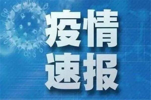 全球视野下的新型冠肺炎疫情挑战与应对策略