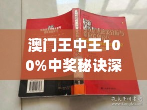 新澳门王中王100%期期中,现状分析解释定义_XP39.130