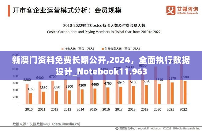 2024澳门正版免费精准大全,数据设计驱动执行_基础版45.743