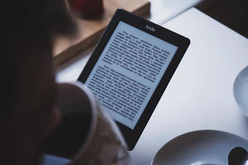 2024新澳开奖记录,数据资料解释落实_Kindle80.498